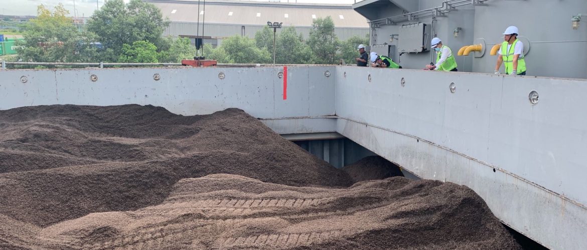 Read more about the article BIO ENECO MENINGKATKAN PENJUALAN BAHAN BAKAR BIOMASSA SECARA GLOBAL, FOKUS PADA PASAR JEPANG