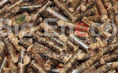 Wood Pellet